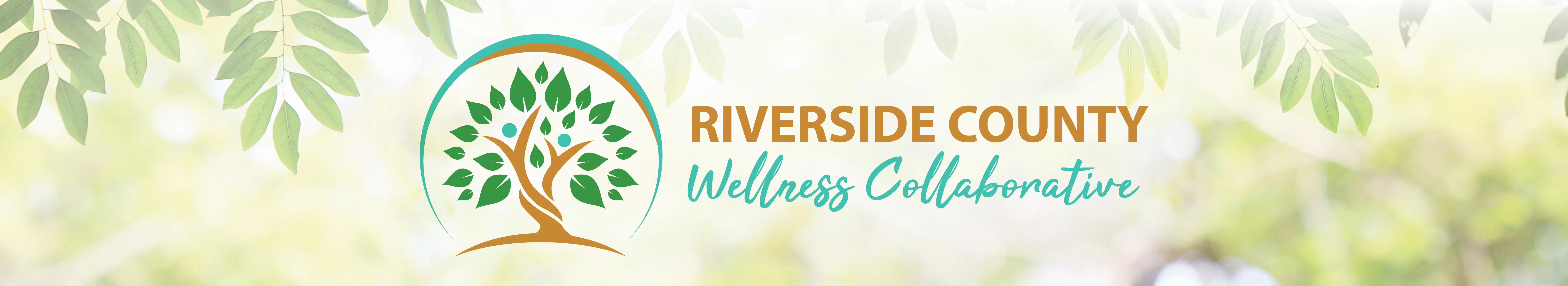 Riverside County Wellness Collaborative | Riverside County Office of ...